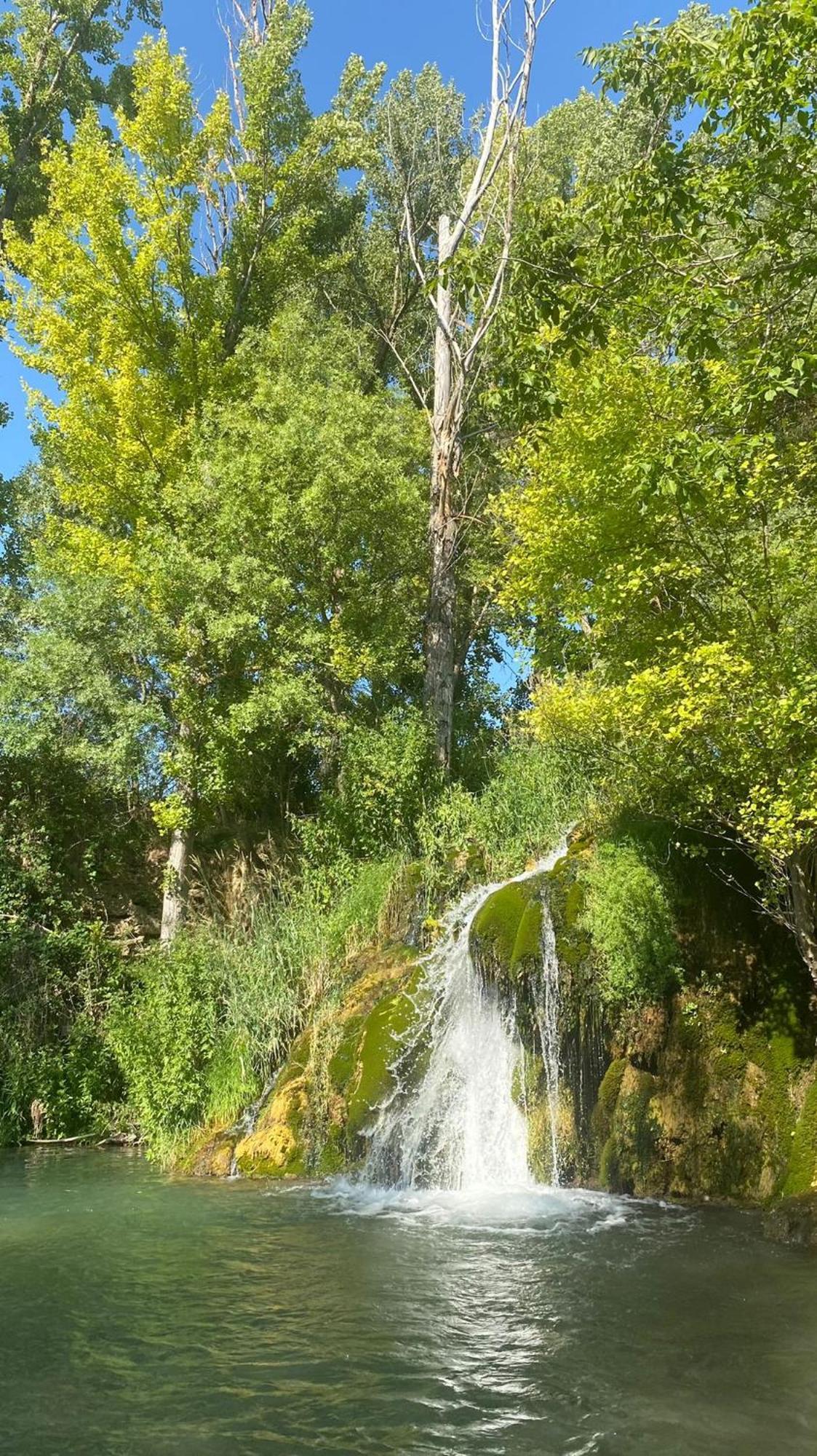 Casa Rural La Alegria De La Alcarria III Torremocha del Campo Eksteriør billede